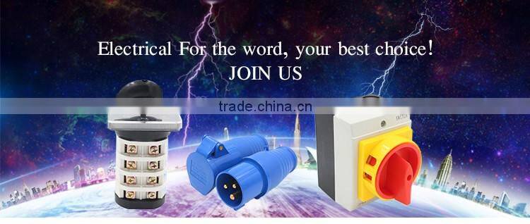 LW26 series 25A hot china products wholesale auto changeover switch auto sealed micro switch