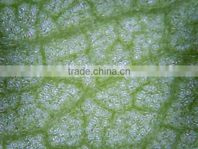 The best digital microscope allow you to bring it anywhere