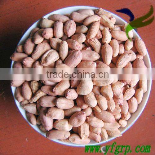 Blanched peanut kernels, peanuts in shell, roasted peanut inshell