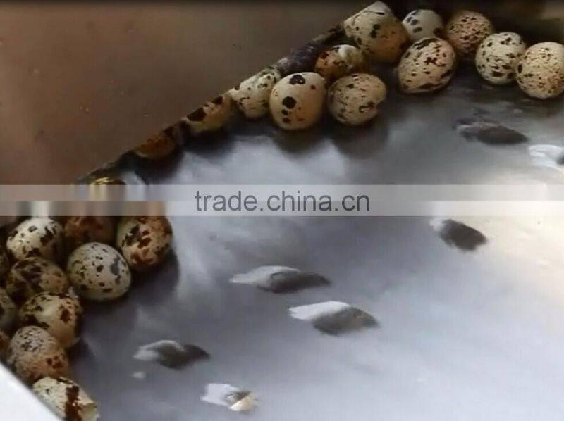 FT-206 Large Capacity Quail Egg Shelling Breaking Peeling Machine