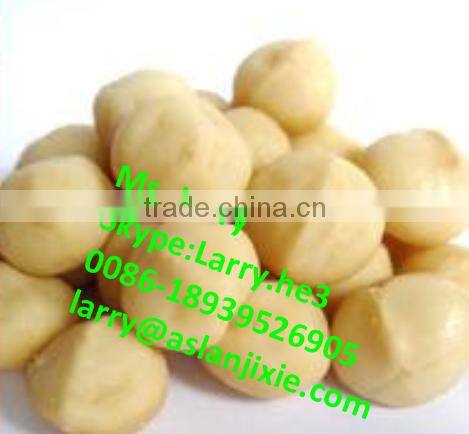 macadamia nut cracker machine/macadamia nut cracking machine