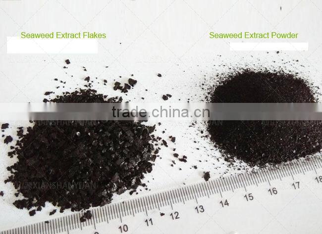 Seaweed Extract Foliar Fertilizer
