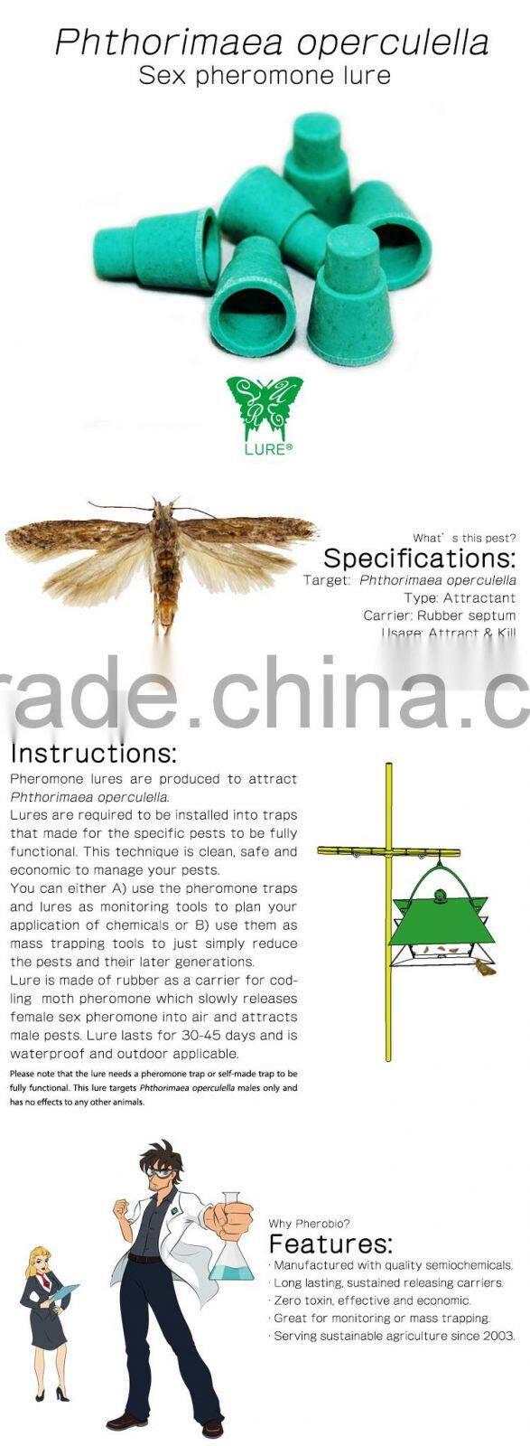 Pheromone Lure for Phthorimaea operculella, Pheromone Attractant & Pheromone Trap for Phthorimaea operculella