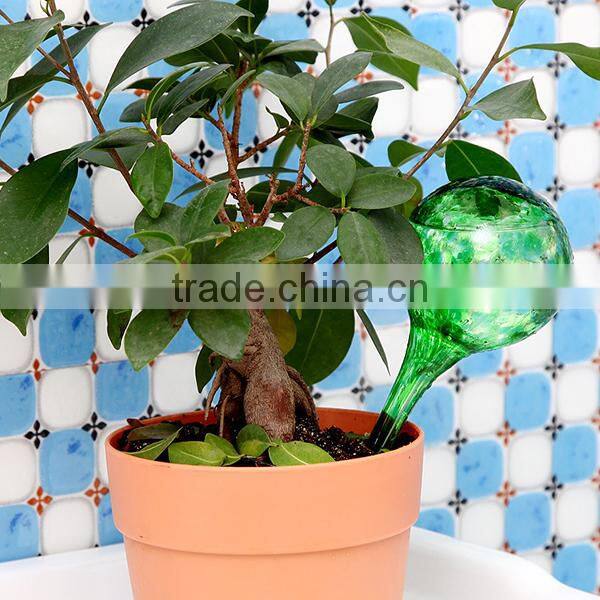 iLOT Hand-blown Glass Aqua Automatic Houseplant Watering System