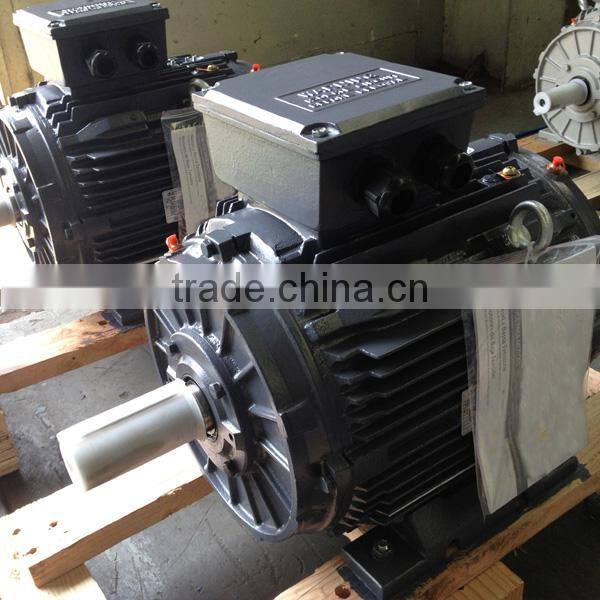 IEC Standard CE Certified High efficiency Three Phase Electric Motor