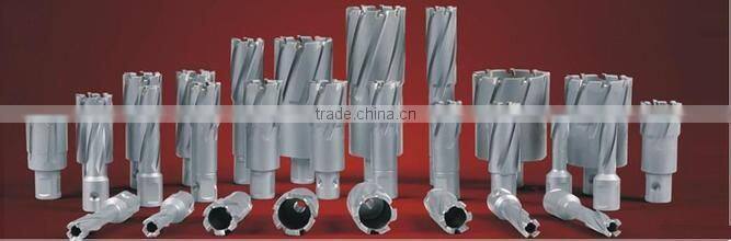 Bridge T.C.T Hollow drill bit for sale