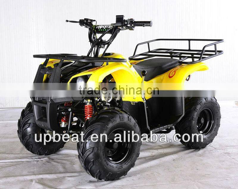 NEW DIRT AUTO QUAD BIKE ATV BUGGY 110cc PEEWEE CYCLONE