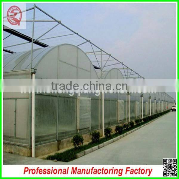 Hot sale 12m multi-span agriculture plastic greenhouses for vegetables