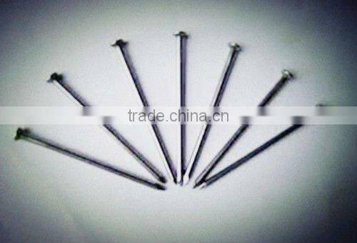 Shoe Tack Nails-Hebei China Supply Best Quality and Price