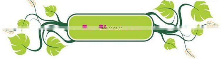 Modern outdoor furniture leisure wicker reclining chair(FS013)