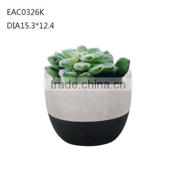 Terrarium Glass With Concrete/Wooden Base