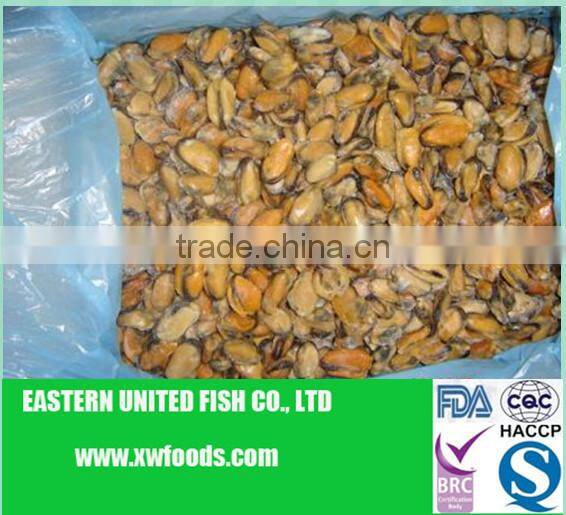 IQF cooked blue mussel meat
