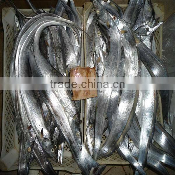 deep sea well taste or market fish and frozen seafood