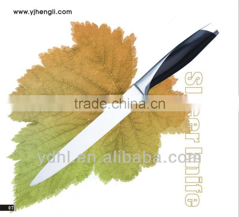 Stainless steel carving knife with forged handle