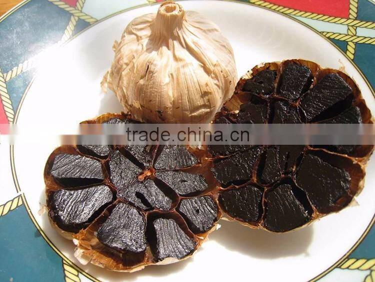 2016 hot sale organic snack fermented china black garlic single bulb