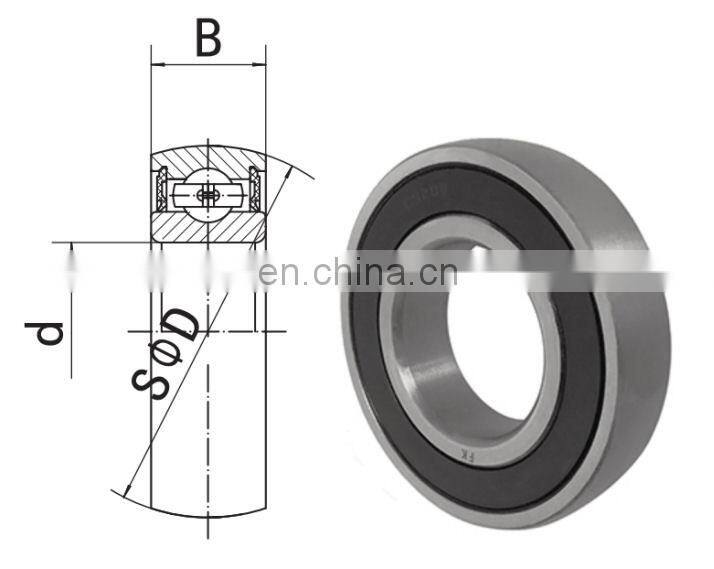 Spherical Surface Ball Bearing CS205 LL Sphered Outer Bearing CS205