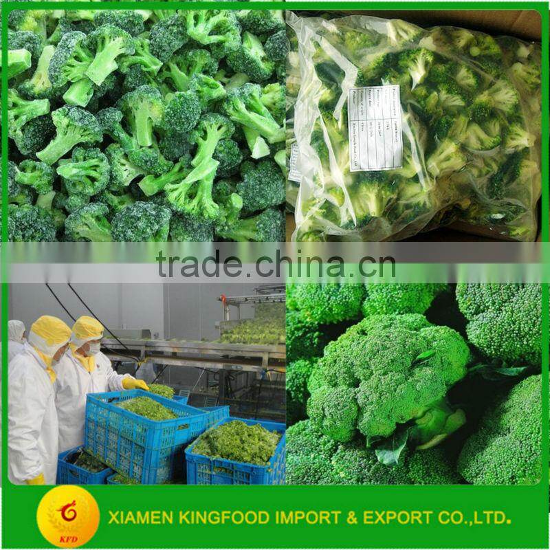 Supply Frozen Broccoli Flower in Stock