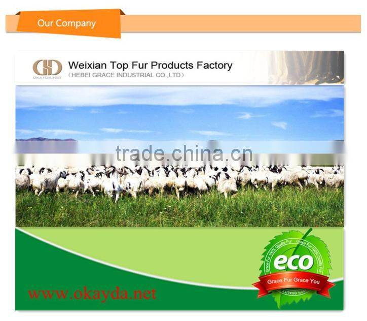 2015 Winter New Combed Sheep Wool