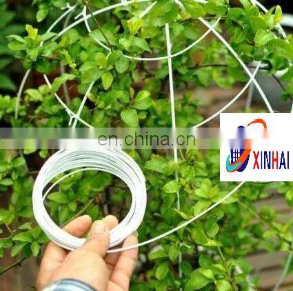 galvanized small coil iron wire for garden Low carbon steel wire