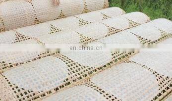 Ricepaper For Making Spring Rolls From Vietnam