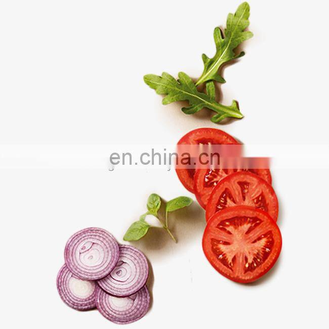 Home Manual Vegetable Cabbage Onion Cutter Slicer