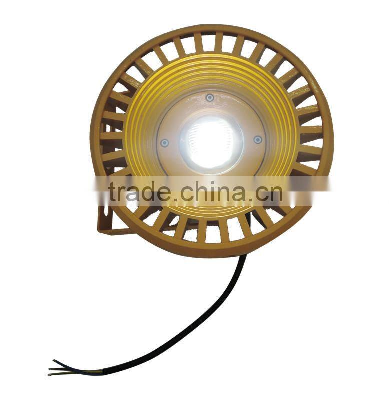 30W/100W Waterproof Mining LED Explosion