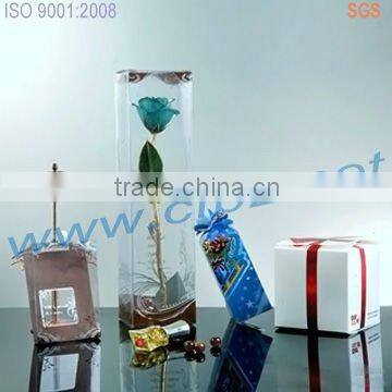 Gift plastic packaging with ribbon