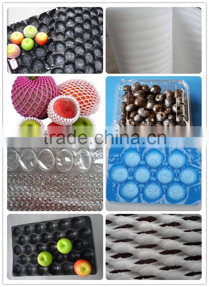 2016 Best Selling Colorful Customized PP apple insert tray