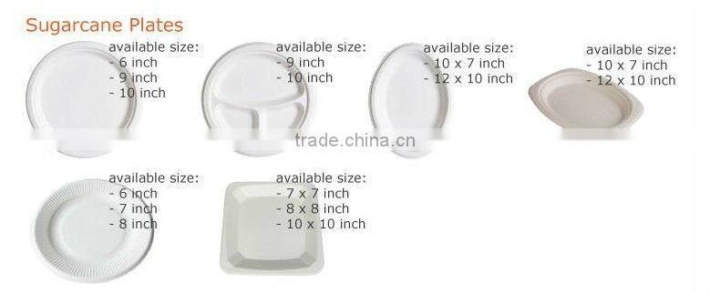 a Biodegradable Disposable Sugarcane Bagasse Ellipse Plate