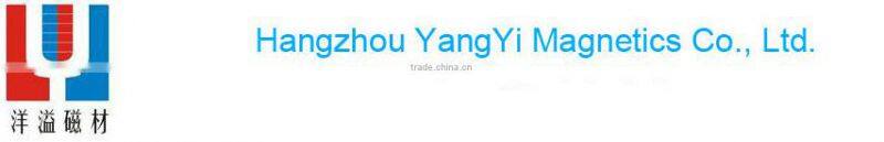 name tag magnetic badge