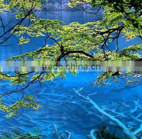 High quality glossy photo paper poster