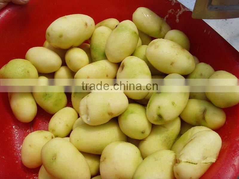 potato peeling machine