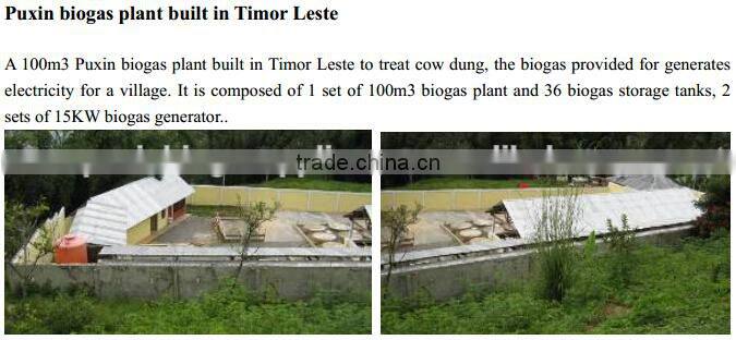 Puxin Industry Fuel Application China Biogas Plant Production