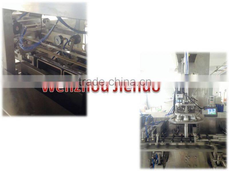 Automatic pouch dried fish packing machine