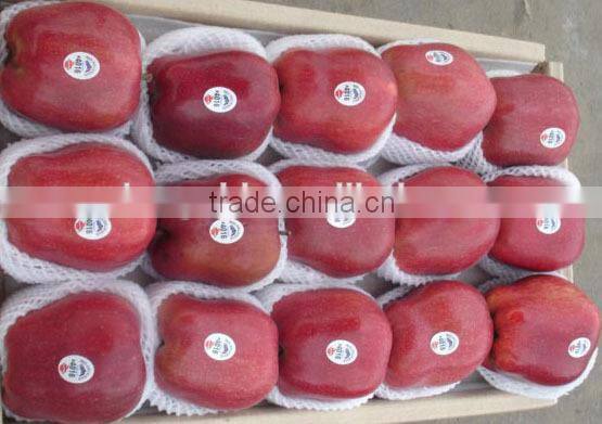 red delicious apple/ huaniu apple