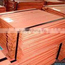 high quality copper cathode hot sale (B8)