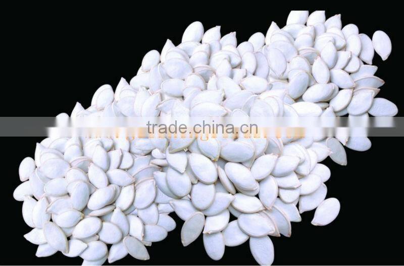 2013 crop snow white pumpkin seed