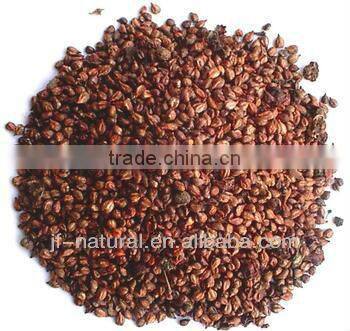 100% natural Grape seed extract high content opcs manufacture ISO, GMP, HACCP, KOSHER, HALAL certificated