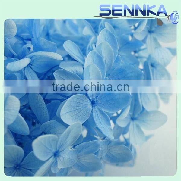 2016 Top quality real touch blue wholesale preserved flower hydrangea for wedding decoration