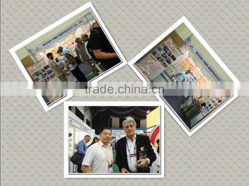 Hot sale white colour 5 frame folding beehive