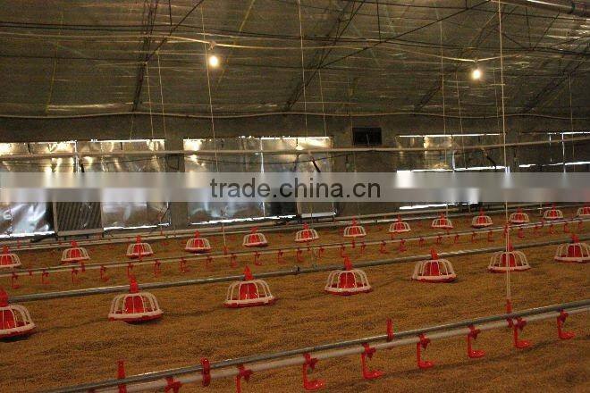 poultry equipment for cock feeding