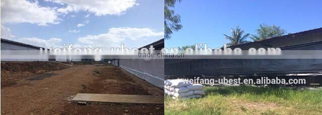 Steel Frame Type and Steel Material metal poultry shed/galvanized chicken equipments shed /chicken house shed