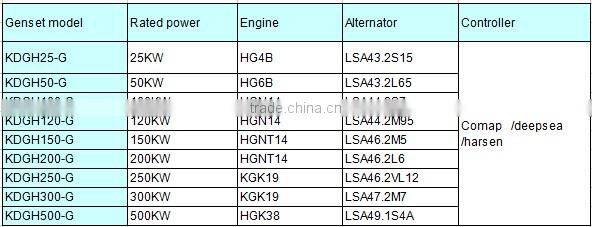 Gas generator set CHP system/Co-generation unit/gas power plant