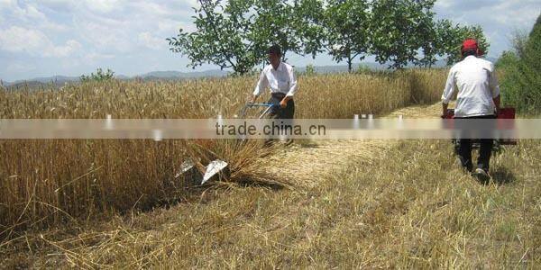 Gasoline engine wheat cutting machine