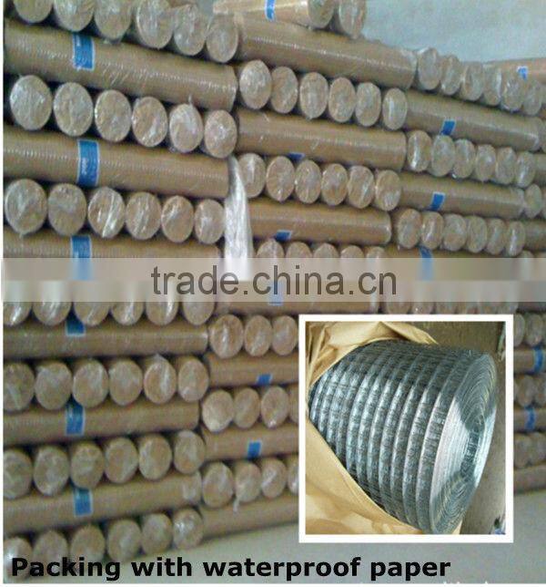 electro galvanized welded wire mesh( Direct Manufacturer)
