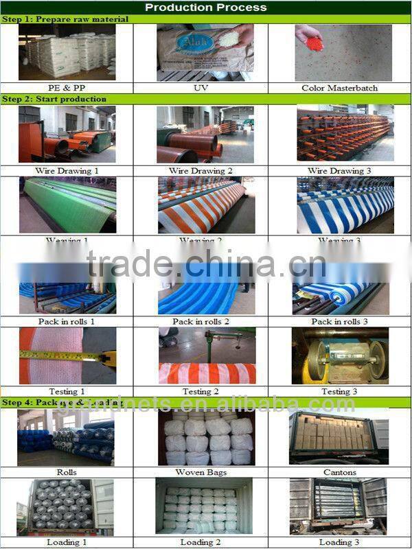 plain weaved square mesh screen net, anti fly net