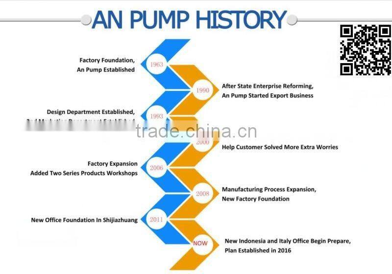 BP(R) type submerged slurry pumps
