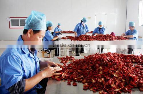 Tomato Multiple layer continuous type mesh belt dryer