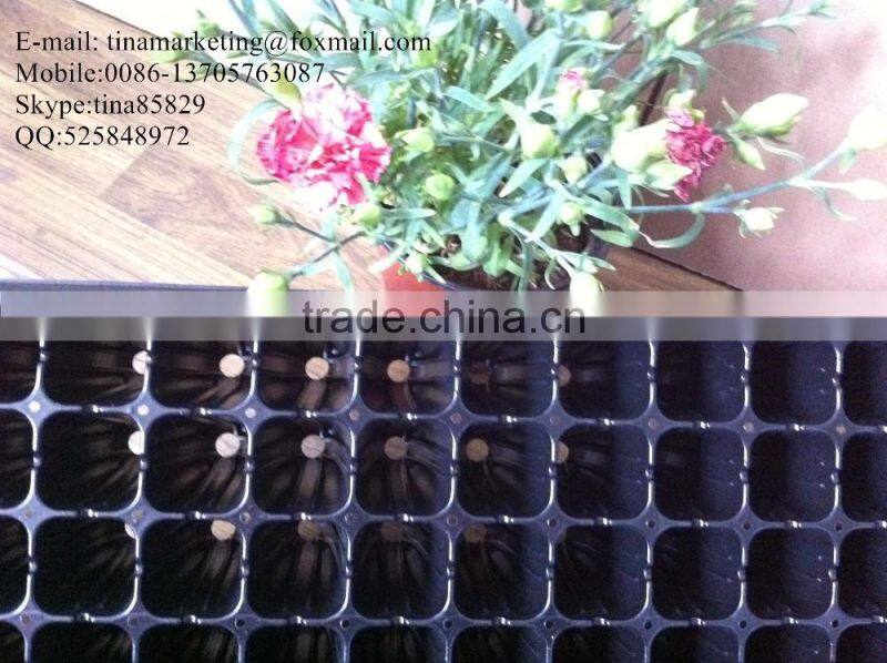 China High Quality Deep Root PS Material Plastic Forest Nursery Seed Starting Tray for Tree Propagation