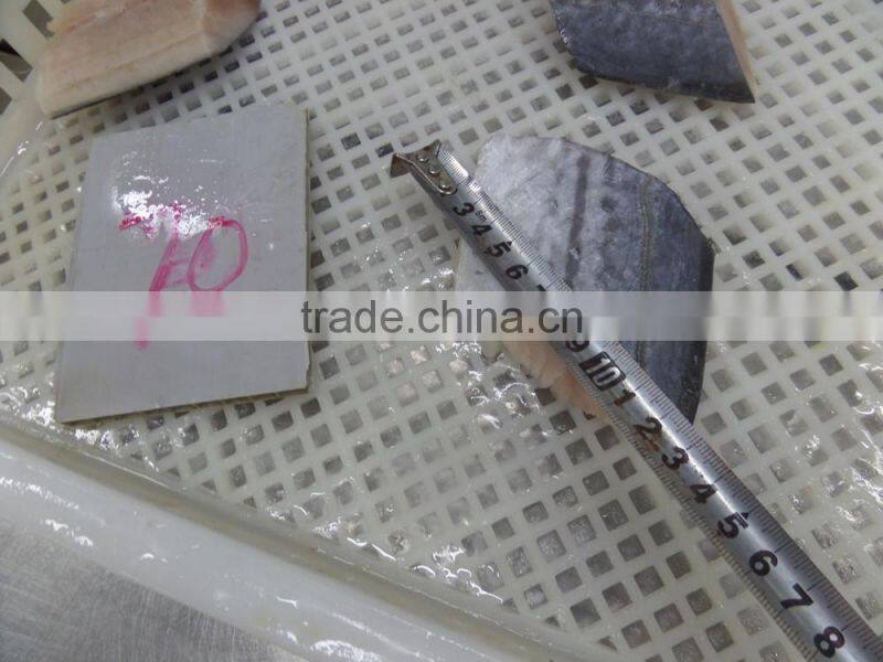 frozen spanish mackerel steaks